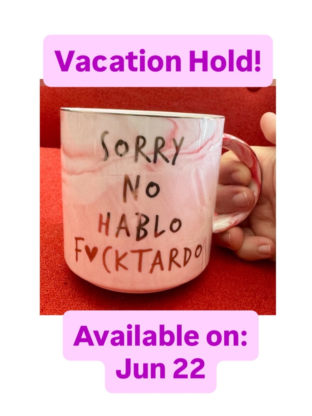 HENDSON ✨ SORRY NO HABLO FCKTARDO mug for coffee tea | funny gag gift